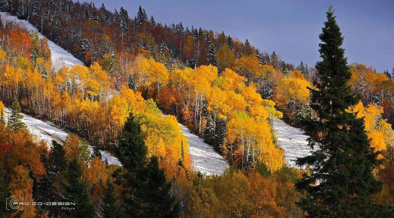 Le Vanilee - Les Chalets Spa Canada La Malbaie Dış mekan fotoğraf