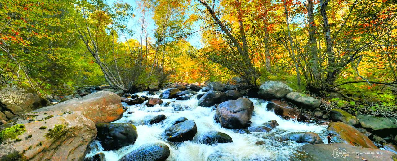 Le Vanilee - Les Chalets Spa Canada La Malbaie Dış mekan fotoğraf