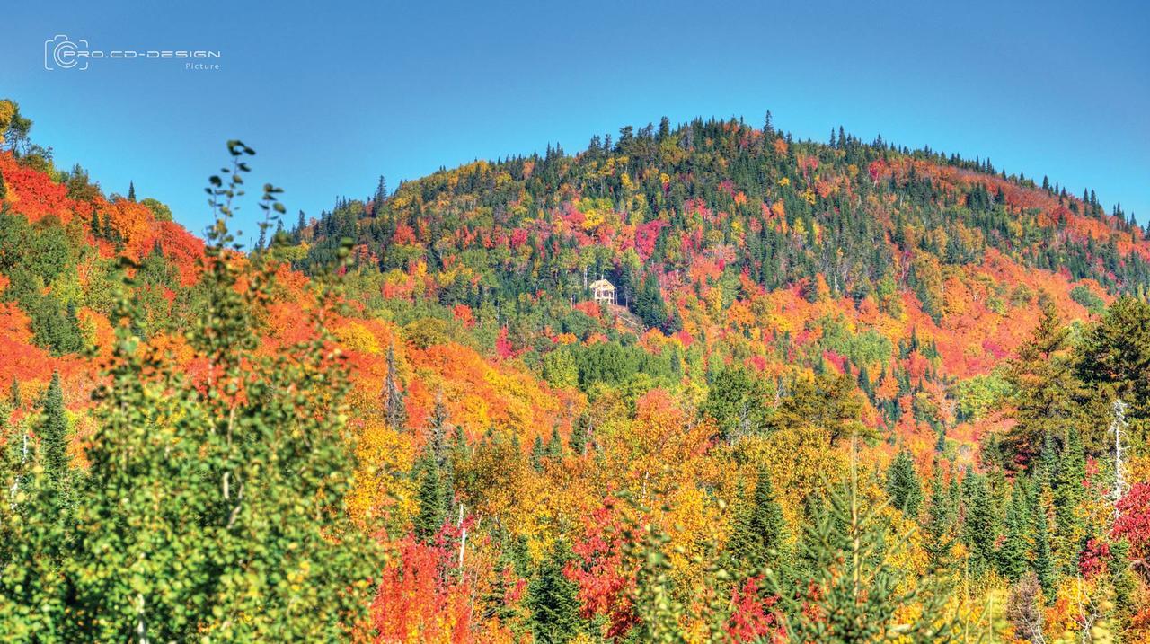 Le Vanilee - Les Chalets Spa Canada La Malbaie Dış mekan fotoğraf