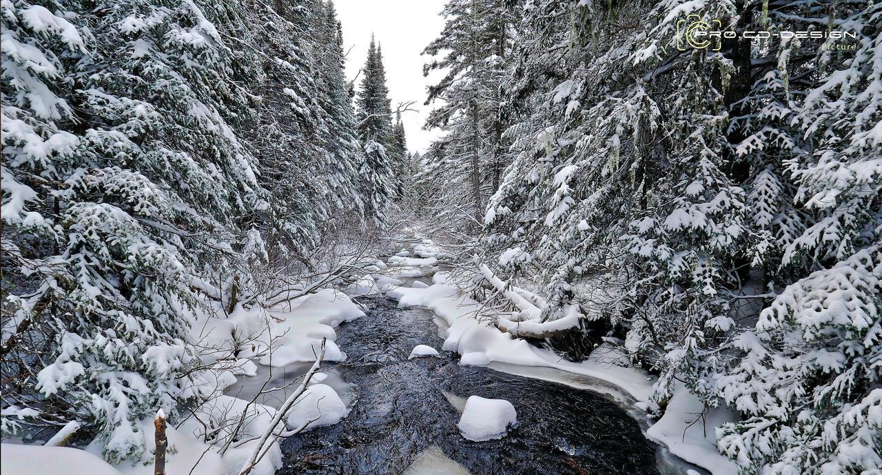 Le Vanilee - Les Chalets Spa Canada La Malbaie Dış mekan fotoğraf