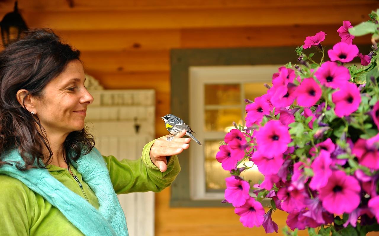 Le Vanilee - Les Chalets Spa Canada La Malbaie Dış mekan fotoğraf